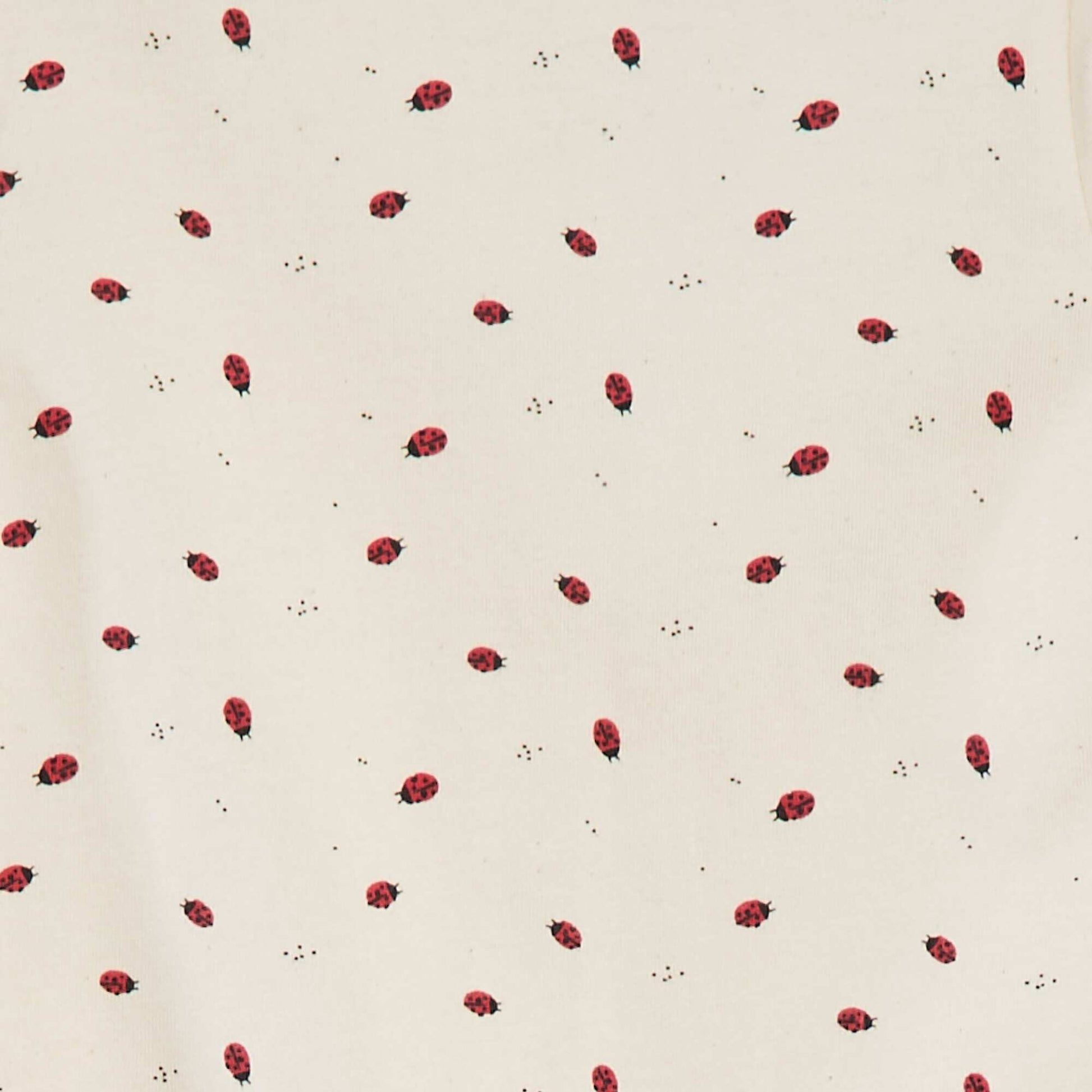 CPW55_6_ZC2